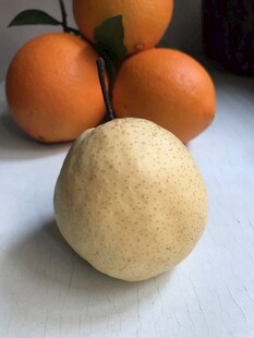 雪梨