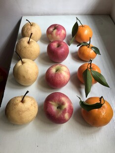 苹果 橘子 雪梨