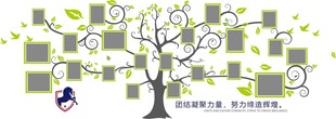 树枝墙