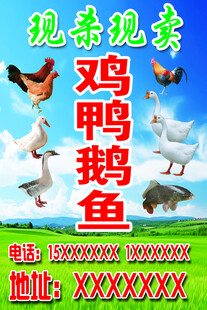 生态农场