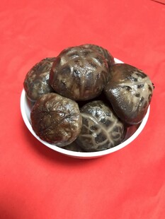 香菇 蘑菇