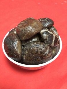 香菇 蘑菇