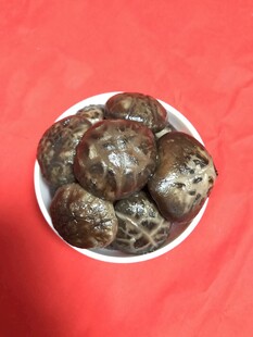 香菇 蘑菇