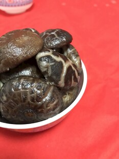香菇 蘑菇