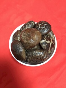 香菇 蘑菇
