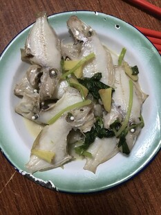 耗儿鱼 剥皮鱼