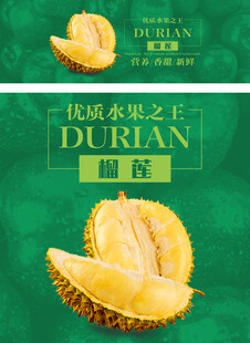 榴莲招贴