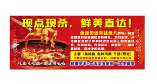 美蛙鱼