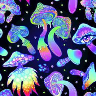 梦幻蘑菇