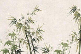 竹子素材