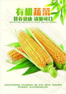 有机蔬菜