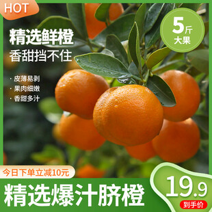 脐橙主图