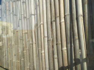 竹子围栏