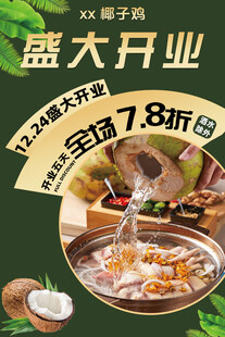 椰子鸡海报