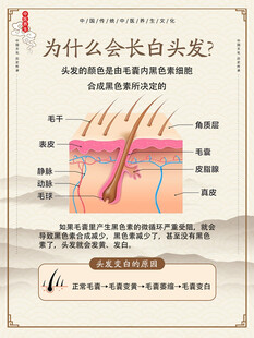 中医养发