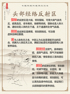 中医养发