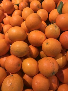 橙子 脐橙