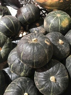 贝贝南瓜