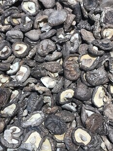 干香菇