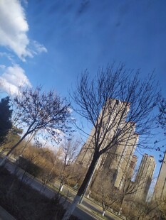 路边风景