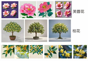 桂花芙蓉花