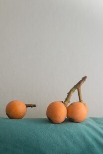 枇杷
