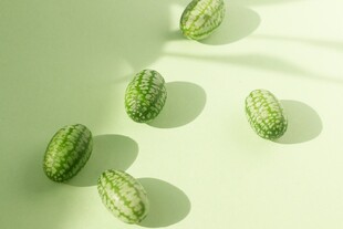 西瓜