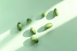 西瓜