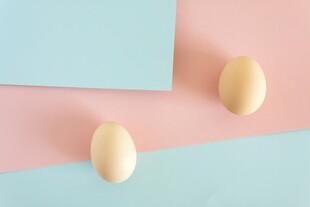 鸡蛋