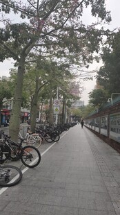 街景