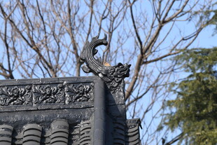 悠闲时光