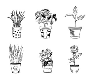 黑白线描盆栽绿植矢量元素