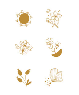 矢量手绘线描花卉元素