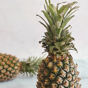 菠萝 凤梨 