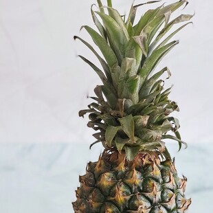 菠萝 凤梨 