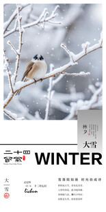 二十四节气大雪