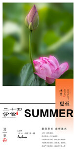 二十四节气夏至