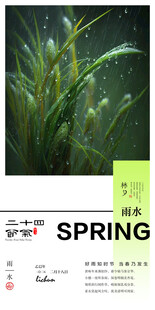 二十四节气雨水
