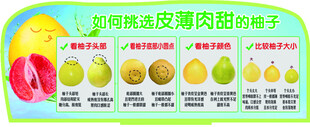 水果立牌 柚子挑选技巧