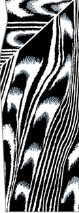 抽象画