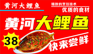 黄河大鲤鱼 红烧鲤鱼