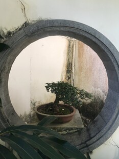 盆栽 盆景