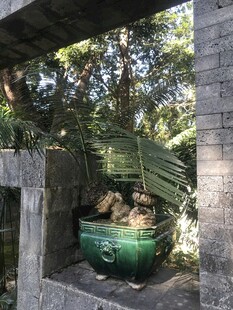 盆栽 盆景