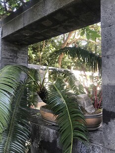 盆栽 盆景