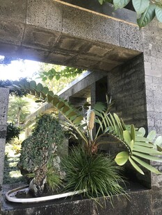 盆栽 盆景