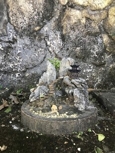 盆栽 盆景