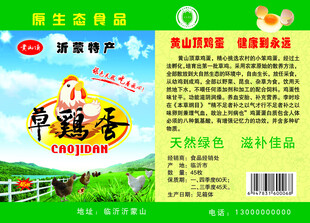 草鸡蛋单页