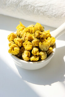 干菊花