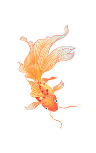 鱼插画