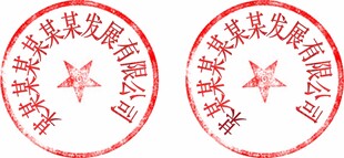 13字公章